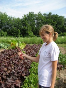 Living Stones Community Farm