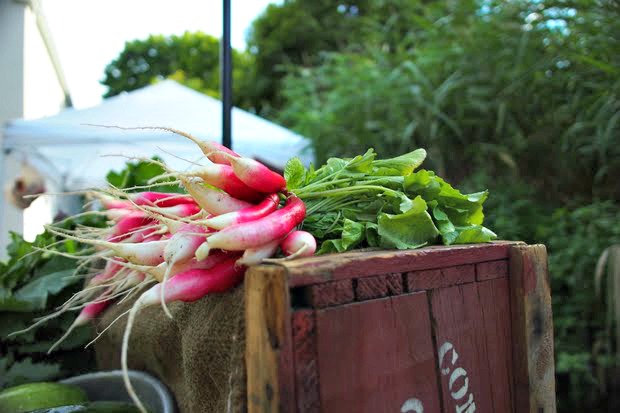 ahNzfnJlYWx0aW1lZmFybXMtaHJkcgwLEgNQaWMYic7XBAw