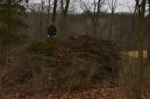 I am standing on top of the brush pile at the beginning of the weekend.