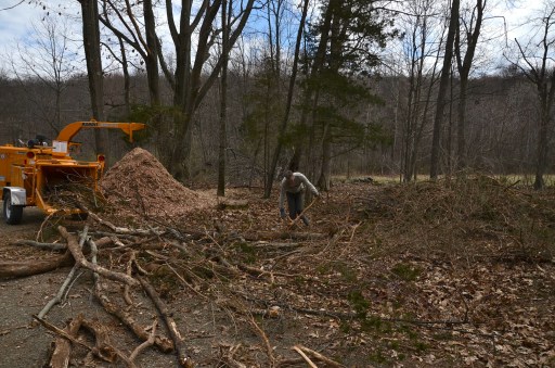 Laying out the brush the morning of the second day before feeding the machine.
