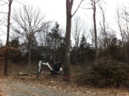 Armed with a chainsaw and a small excavator - the clearing commences.