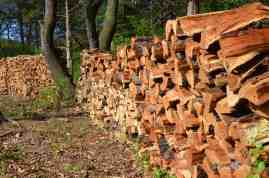 Hopefully this will last us at least two winters.