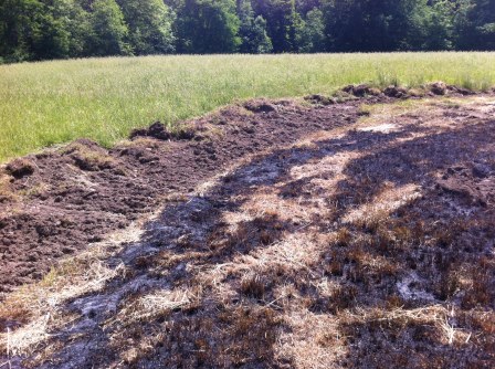 The moat of dug earth preventing the fire from spreading to the tall grass.