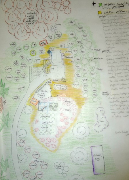 A closeup of the plantings and whatnot near the house - akin to a vision board.